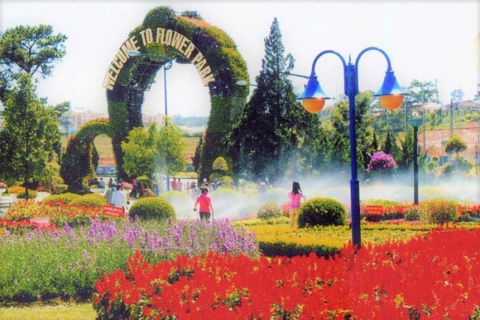 Da Lat Flower Gardens: A Blooming Paradise for Nature Lovers