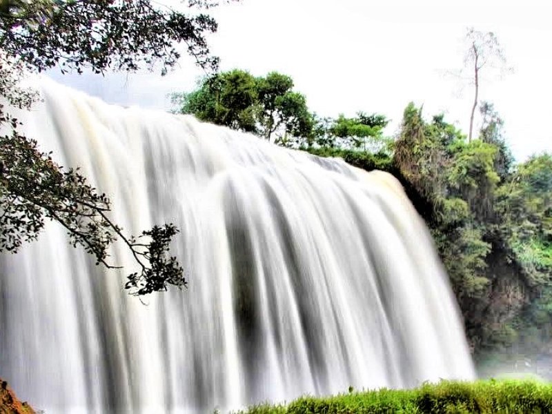 Discover Da Lat Waterfalls: Datanla, Elephant Falls & Hidden Gems