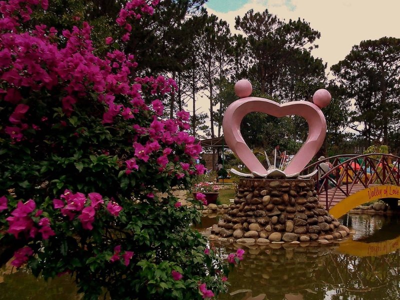 Top Things to Do in Da Lat: A Complete Guide for First-Timers