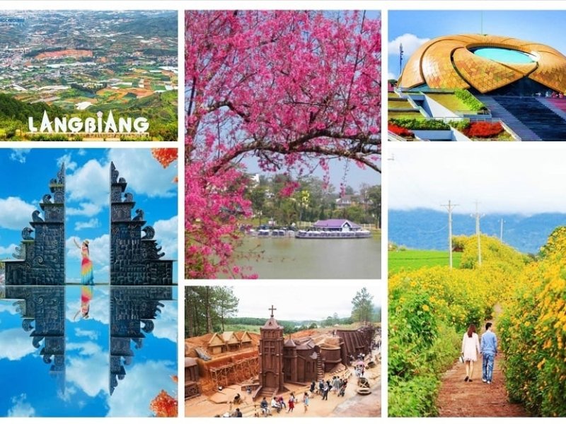 Top Things to Do in Da Lat: A Complete Guide for First-Timers