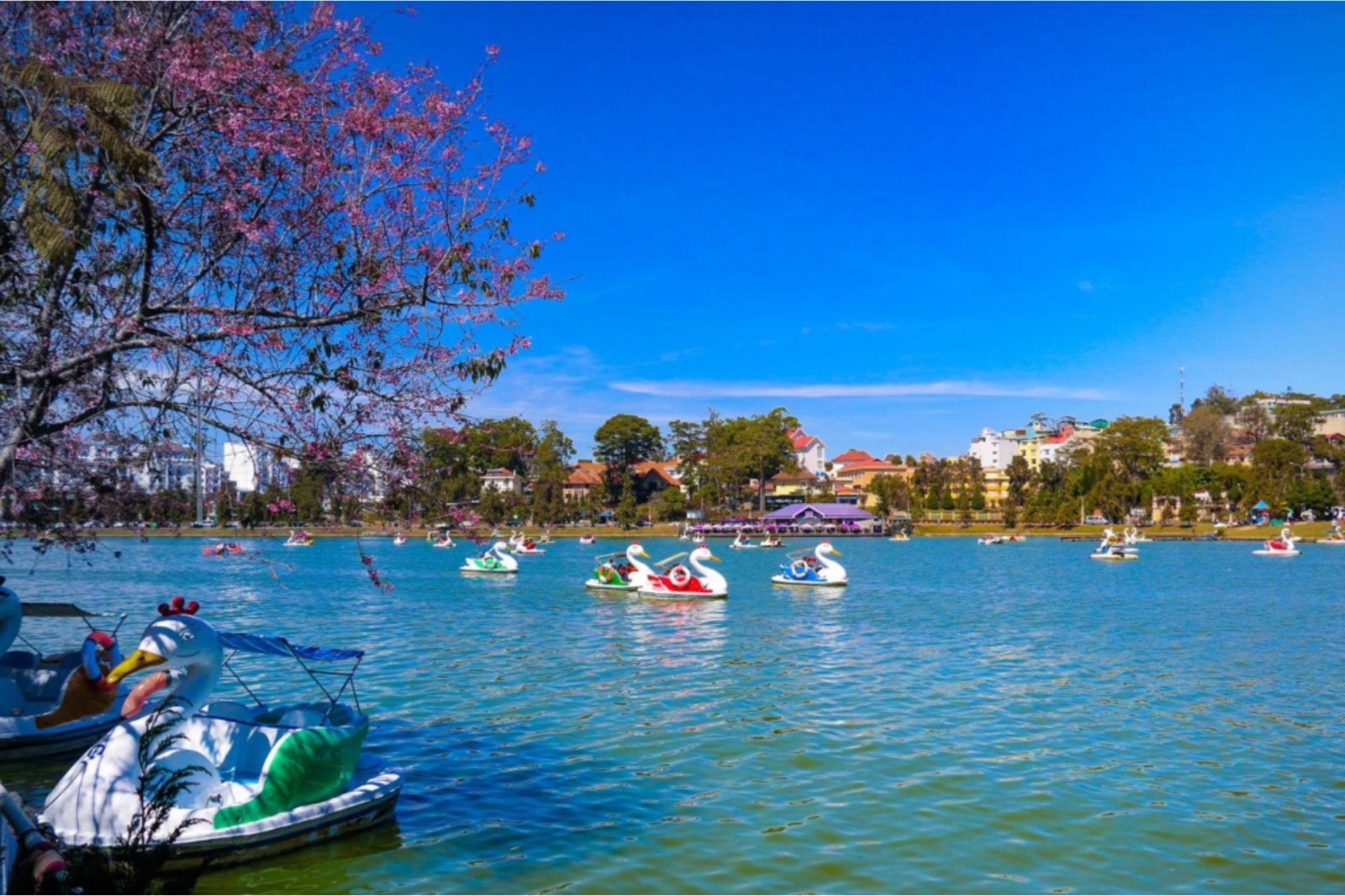 Explore the Scenic Views of Xuan Huong Lake in Da Lat