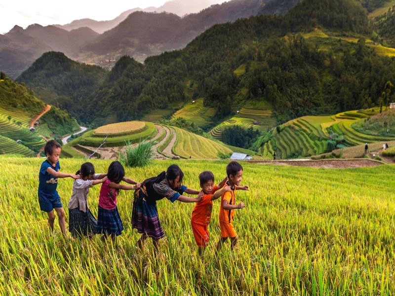 Hoang Su Phi Trekking: The Ultimate Adventure in Ha Giang