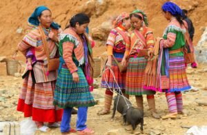 Quan Ba Trekking: Breathtaking Scenery and Authentic Experiences