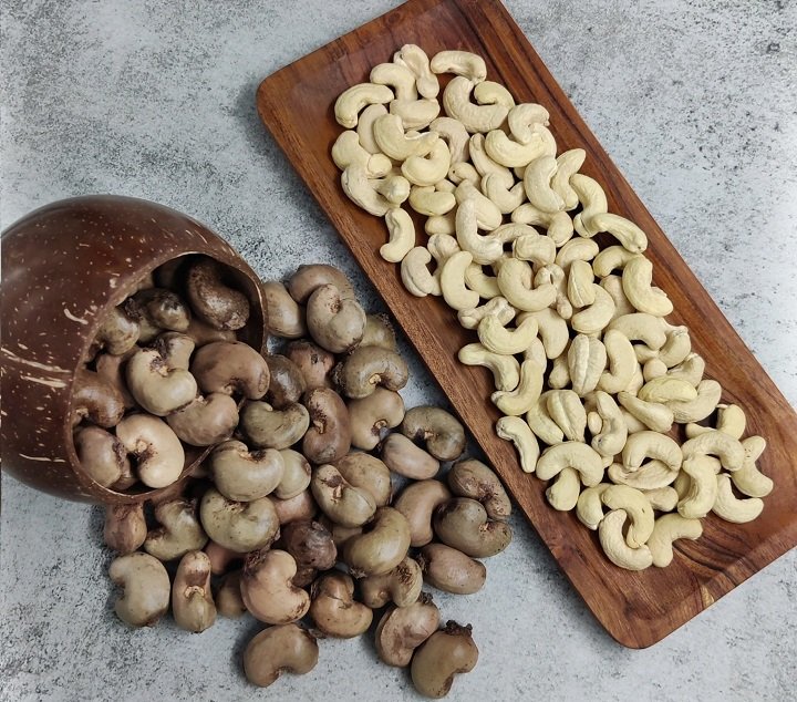A Traveler's Insight into the Cashew Industry Vietnam