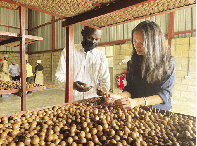 Exploring Macadamia Farming Vietnam: Agri-Tourism Spotlight