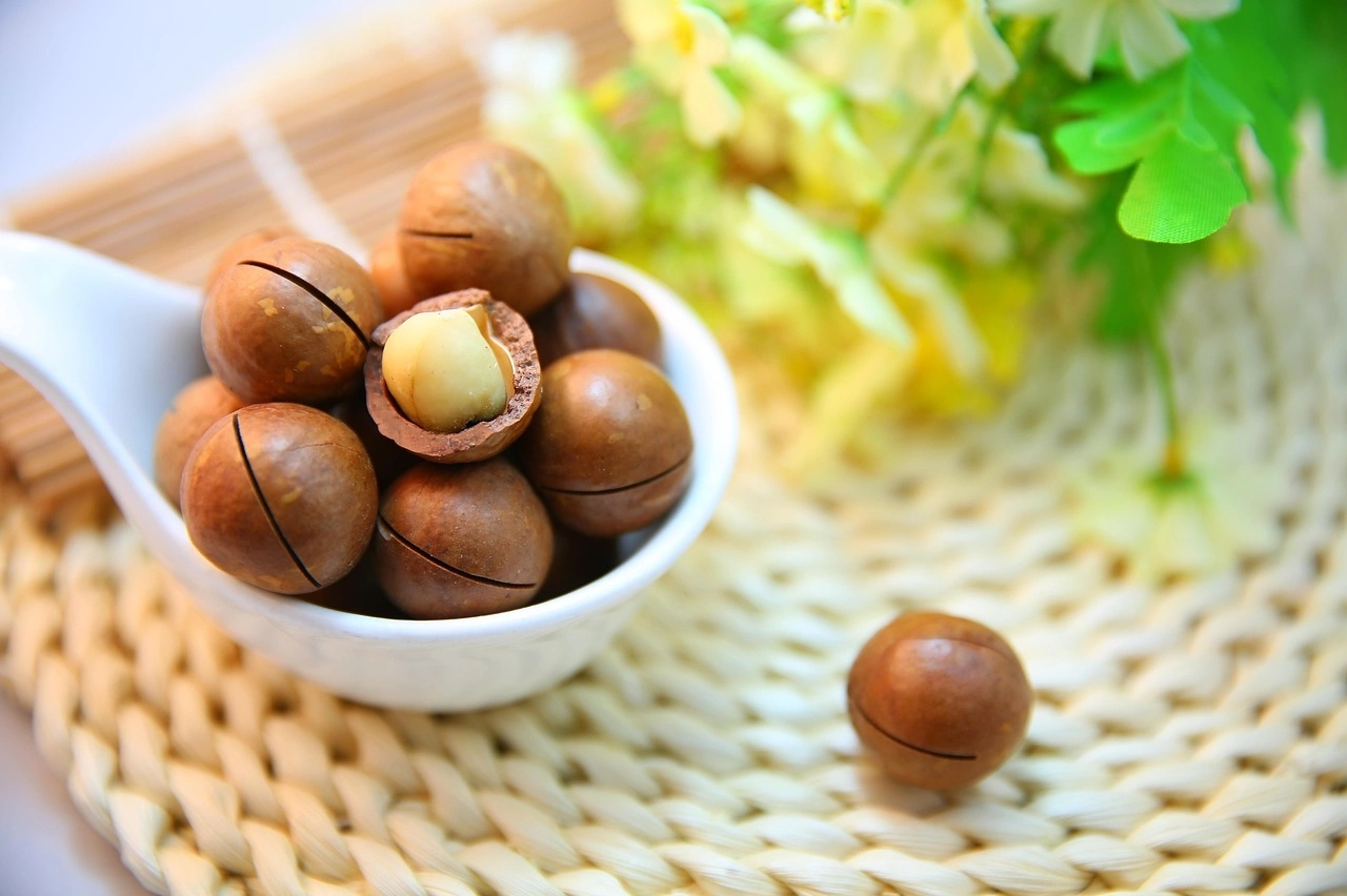 Exploring Macadamia Farming Vietnam: Agri-Tourism Spotlight