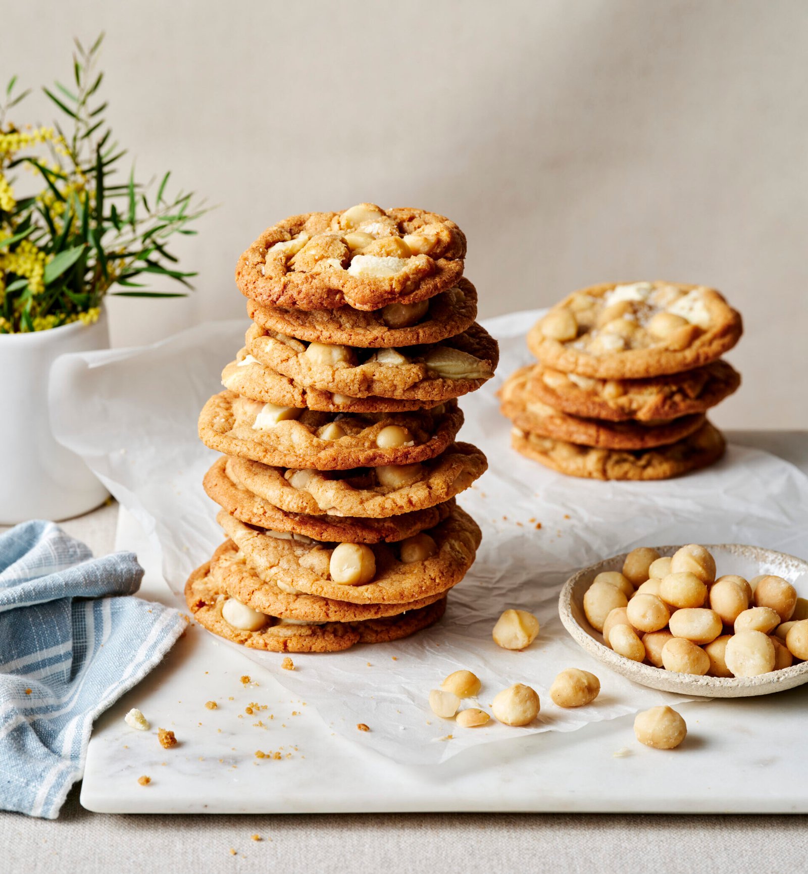 Macadamia Nuts in Vietnam: A Taste of Luxury from the Highlands