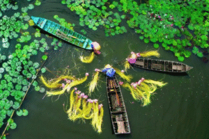 Why Choose a Mekong Delta Day Trip?