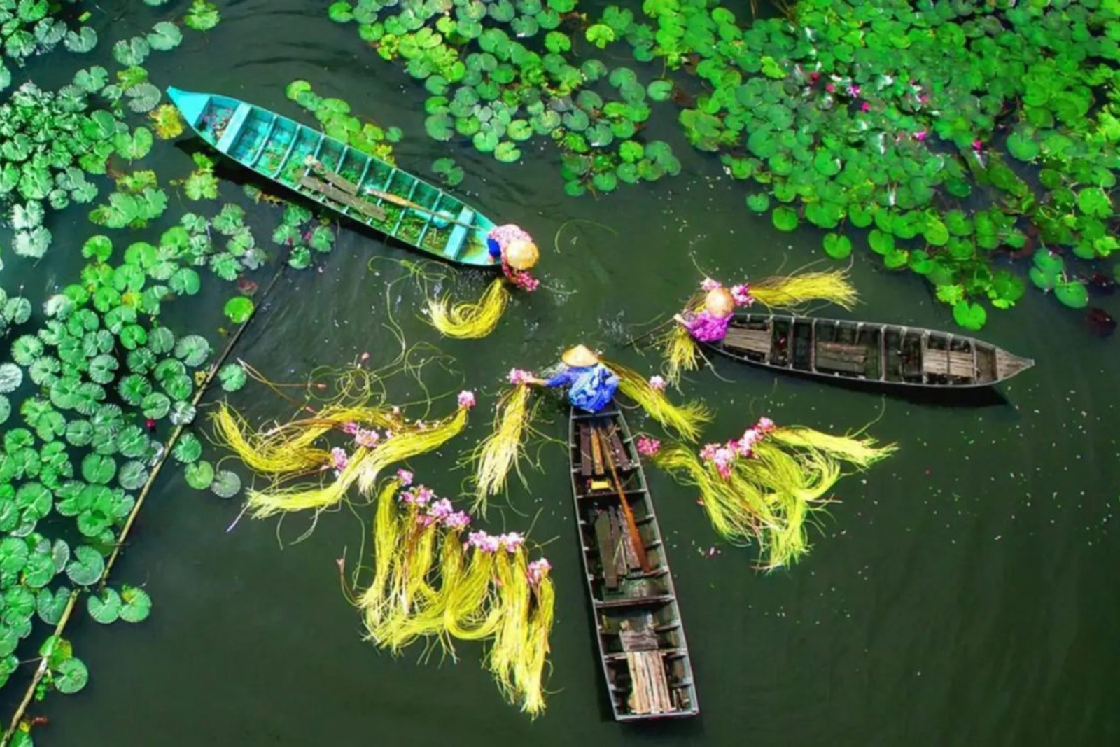 Why Choose a Mekong Delta Day Trip?