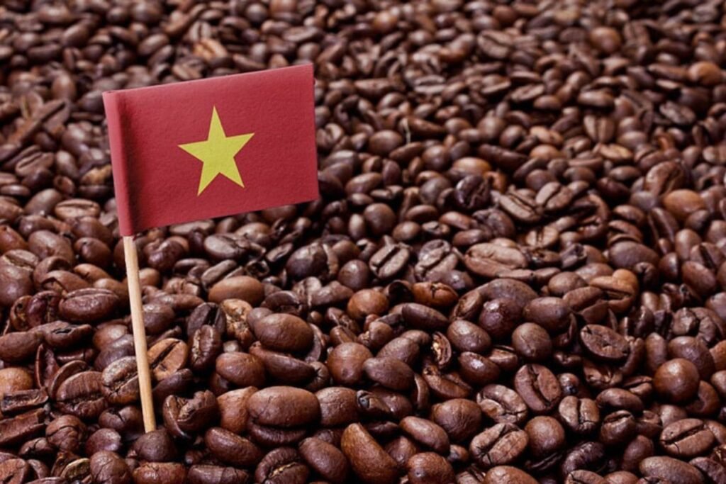 Why You Should Experience a Vietnamese Coffee Tour