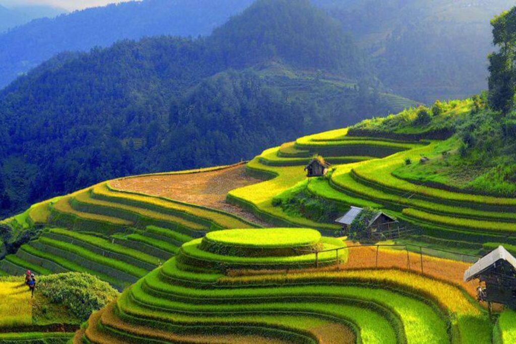 Best Time to Travel from South Africa to Vietnam