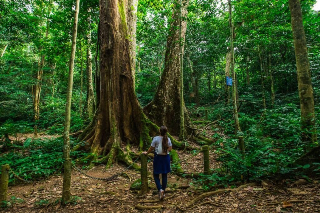 Top Vietnam National Parks for Swiss Nature Lovers
