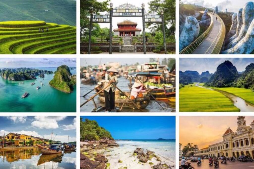 Travel Logistics & Budget Planning