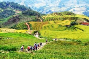 Trekking Through Northern Vietnam