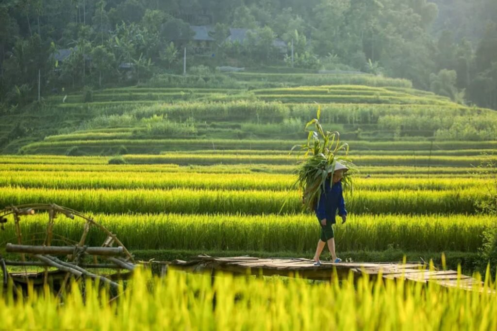 Eo Ken – Son – Uoi – Lan Villages Trail