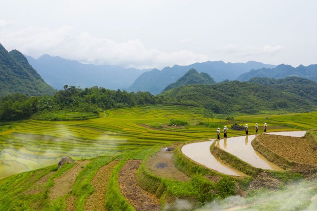 Highlights of Pu Luong Trekking Tours