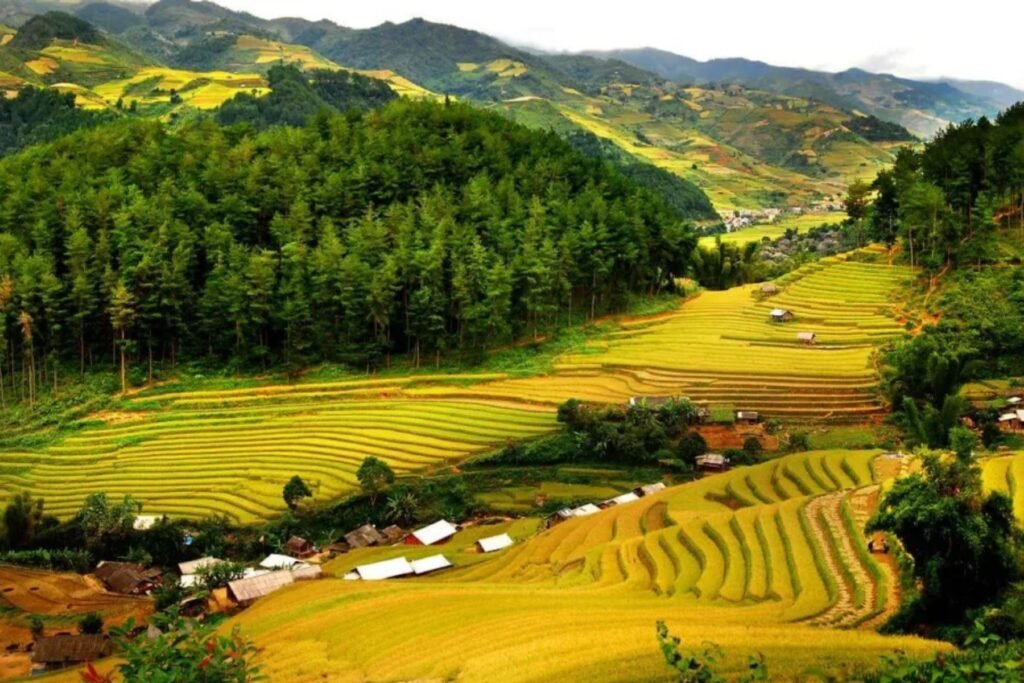 How to Prepare for Your Pu Luong Trekking Adventure
