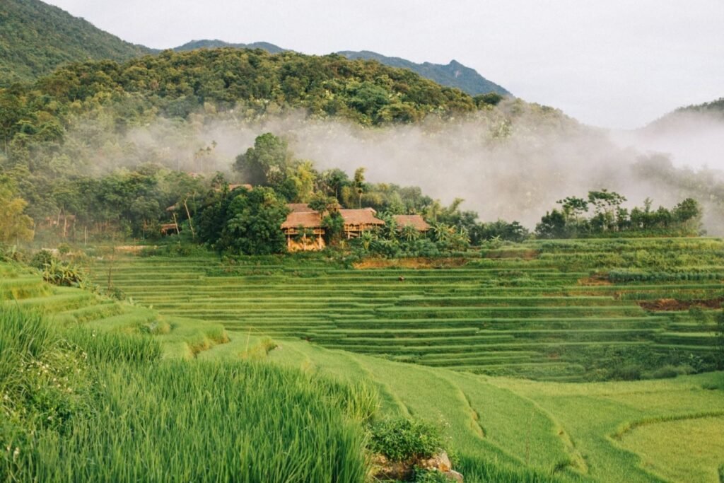 Tips for Visiting Pu Luong Nature Reserve