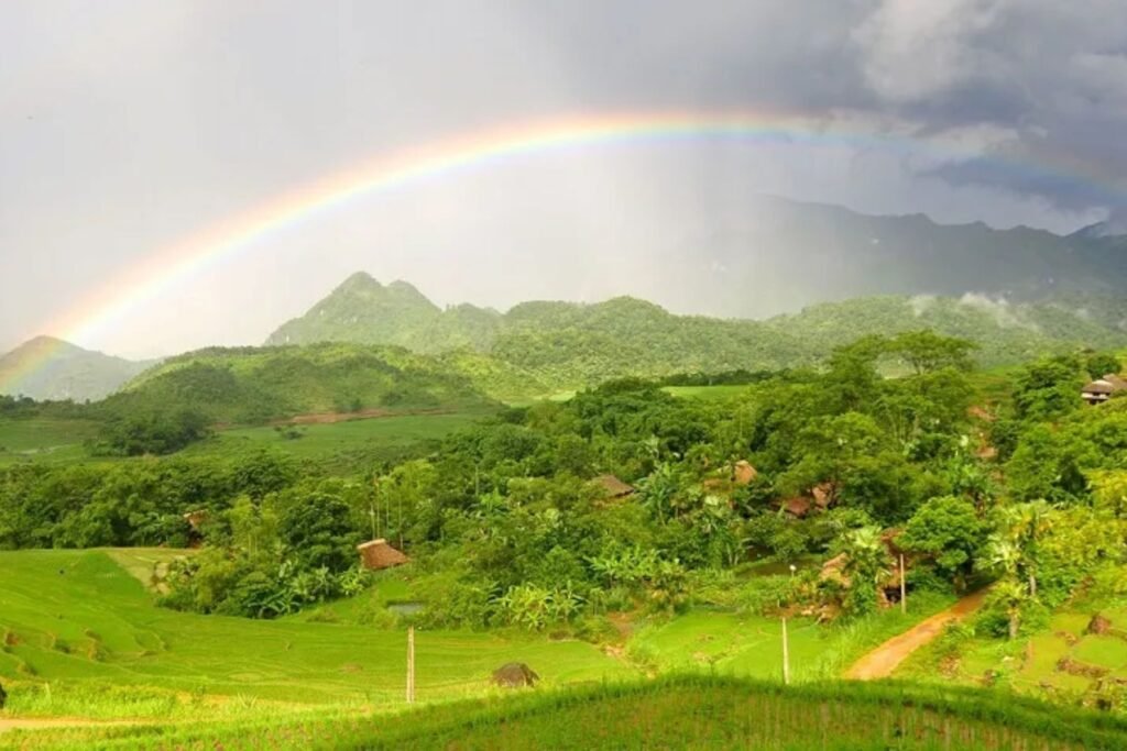 When is the Best Time for Trekking Pu Luong?