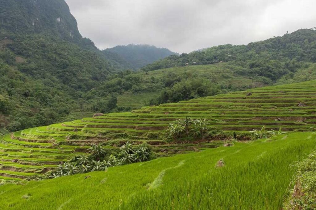 Why Choose Pu Luong for Trekking?