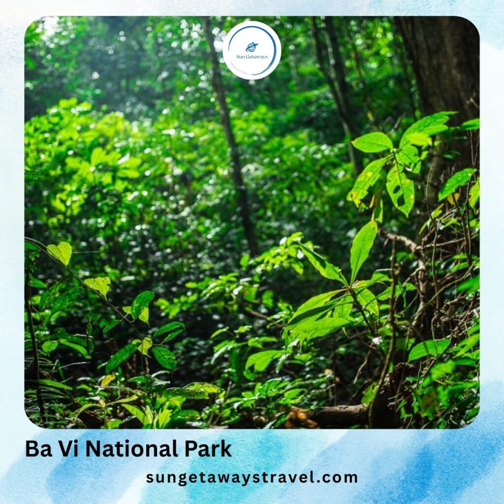Ba Vi National Park