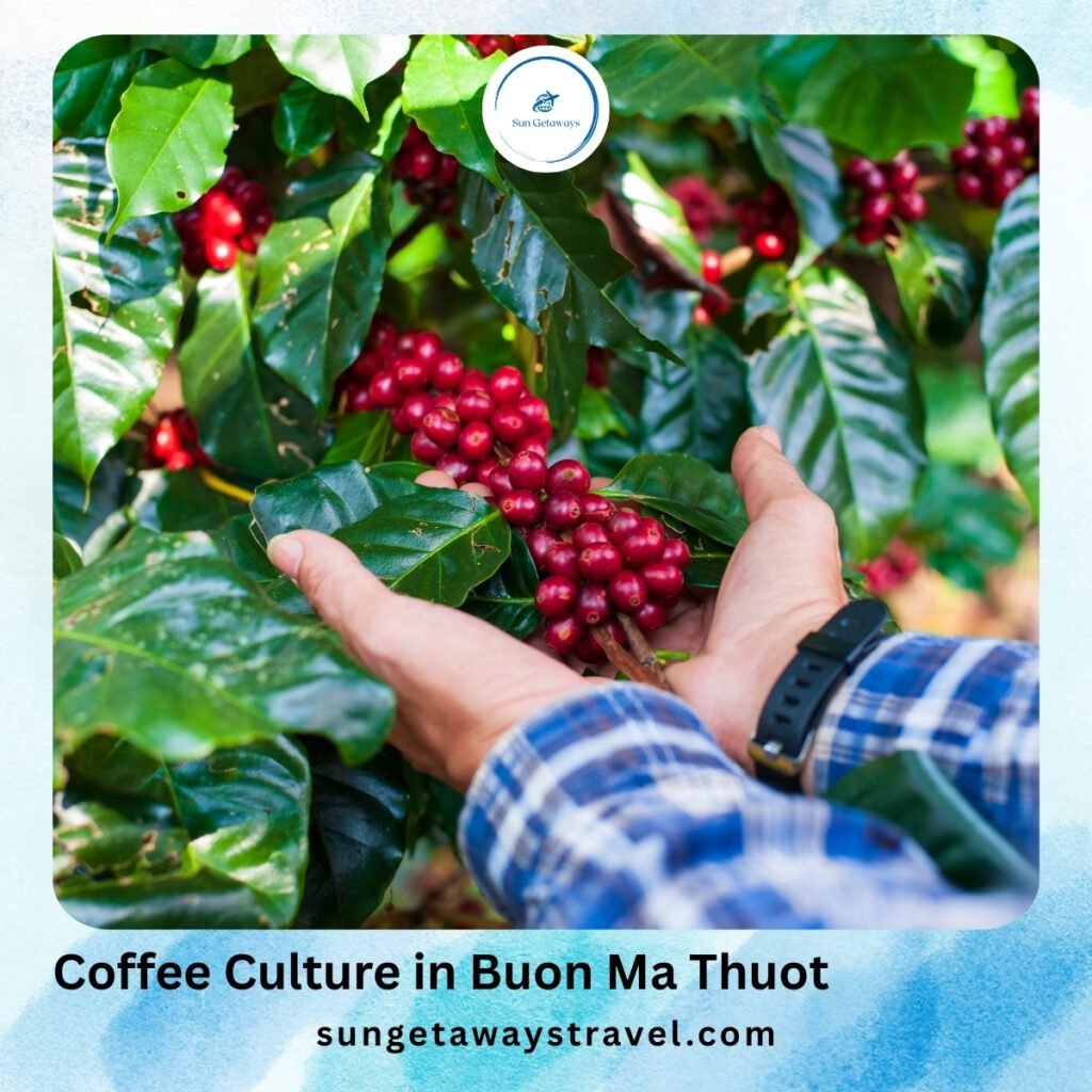 Coffee Culture in Buon Ma Thuot