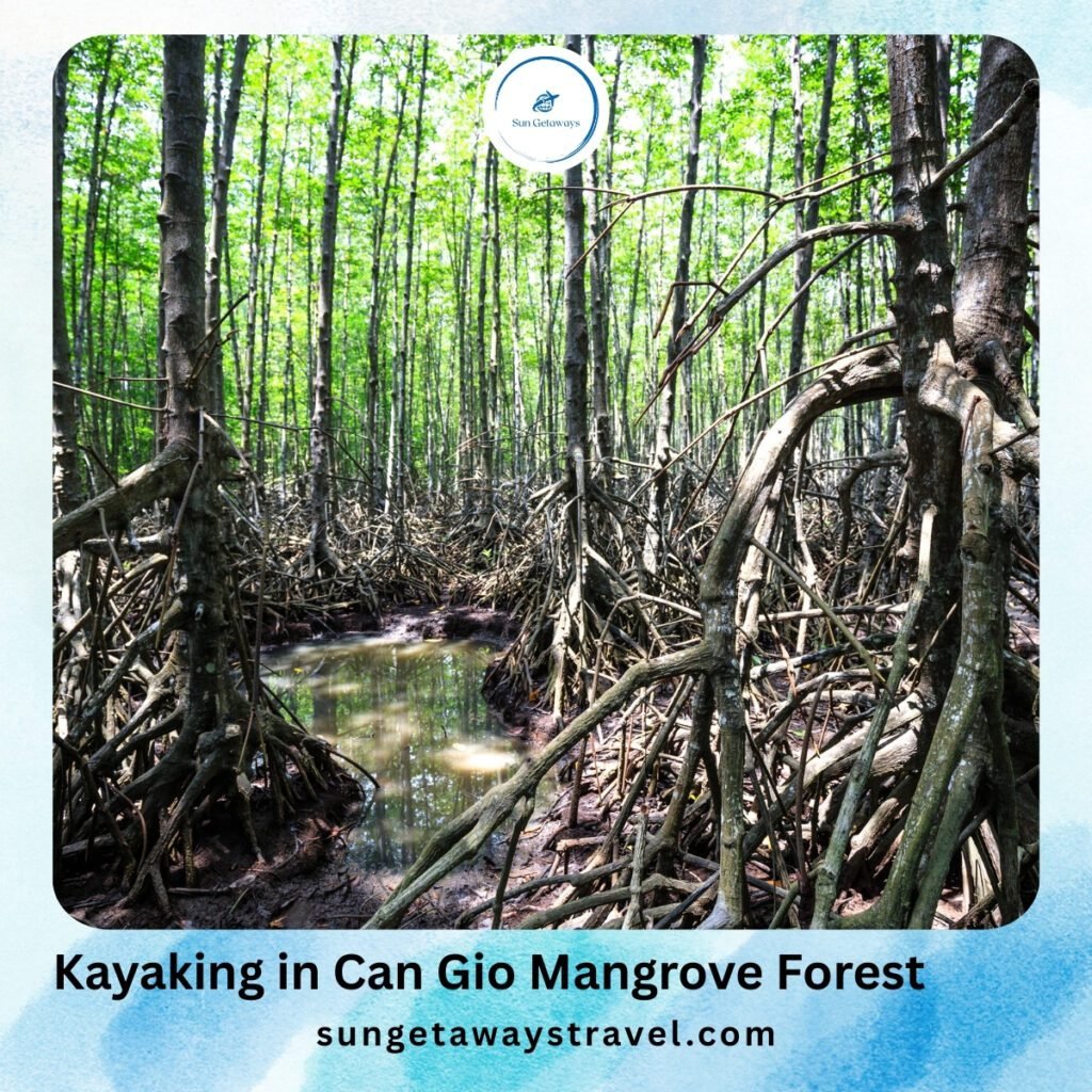Kayaking in Can Gio Mangrove Forest
