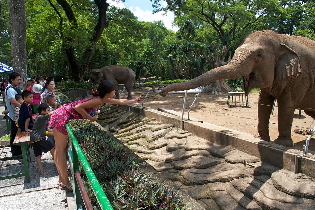 Saigon Zoo & Botanical Gardens