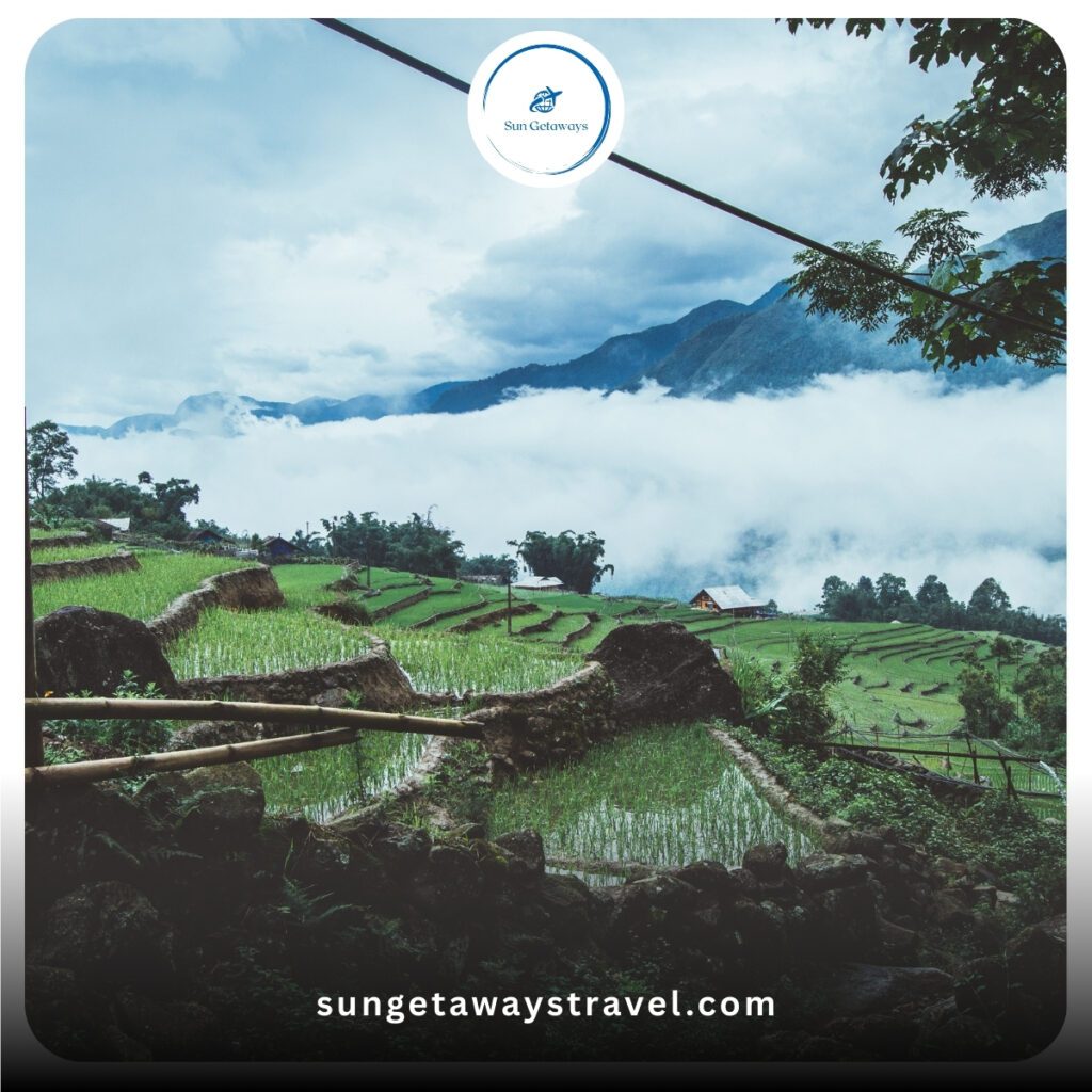 Sapa