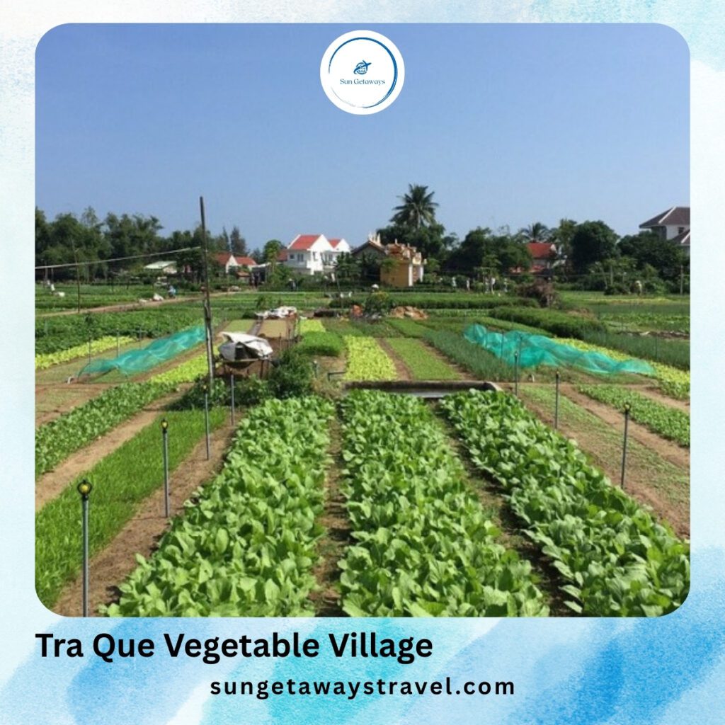 Tra Que Vegetable Village