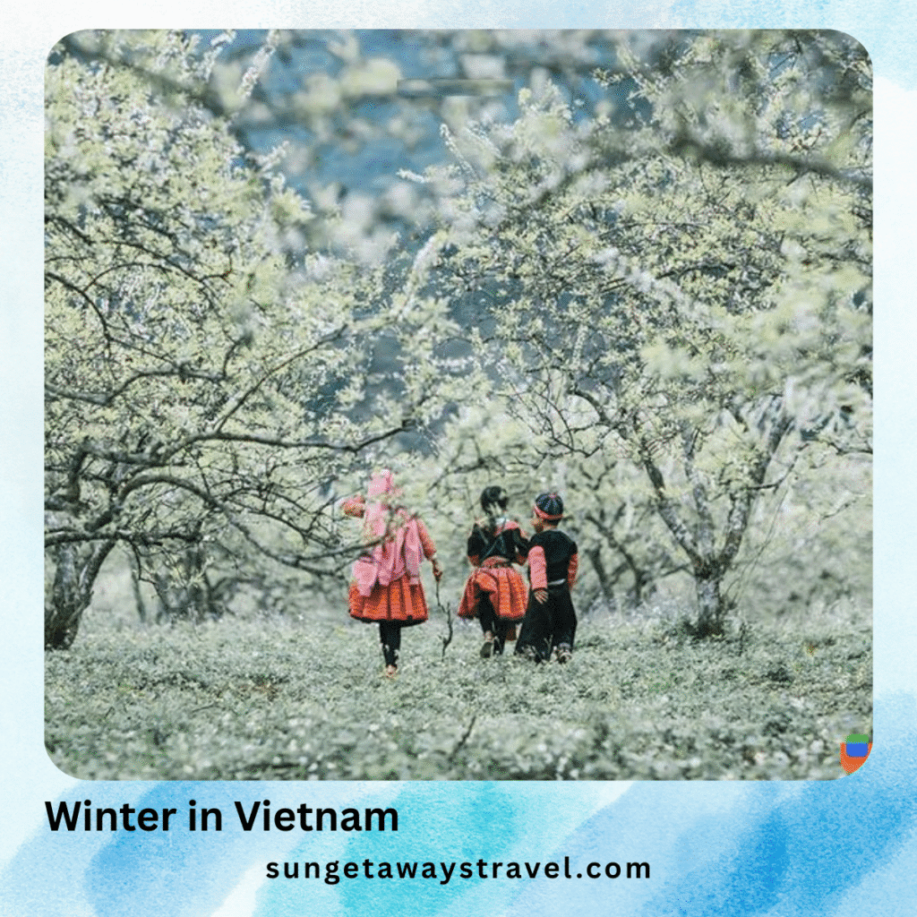Winter in Vietnam