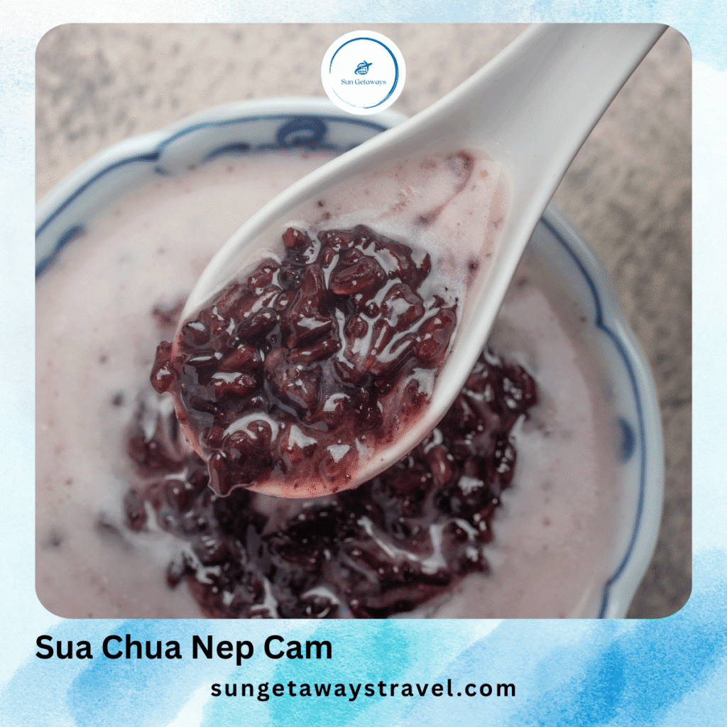 Sua chua nep cam (yogurt with black sticky rice)