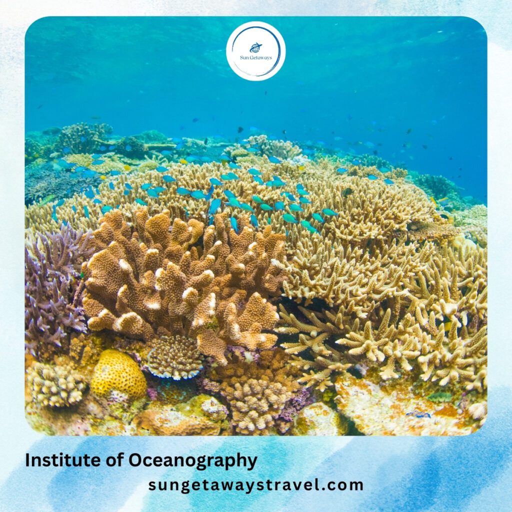 things to do in Nha Trang Vietnam: Institute of Oceanography