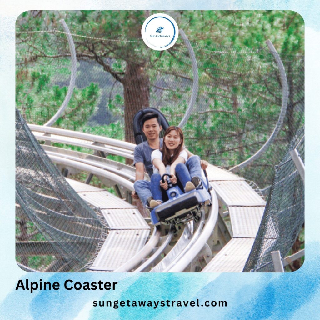 Alpine Coaster