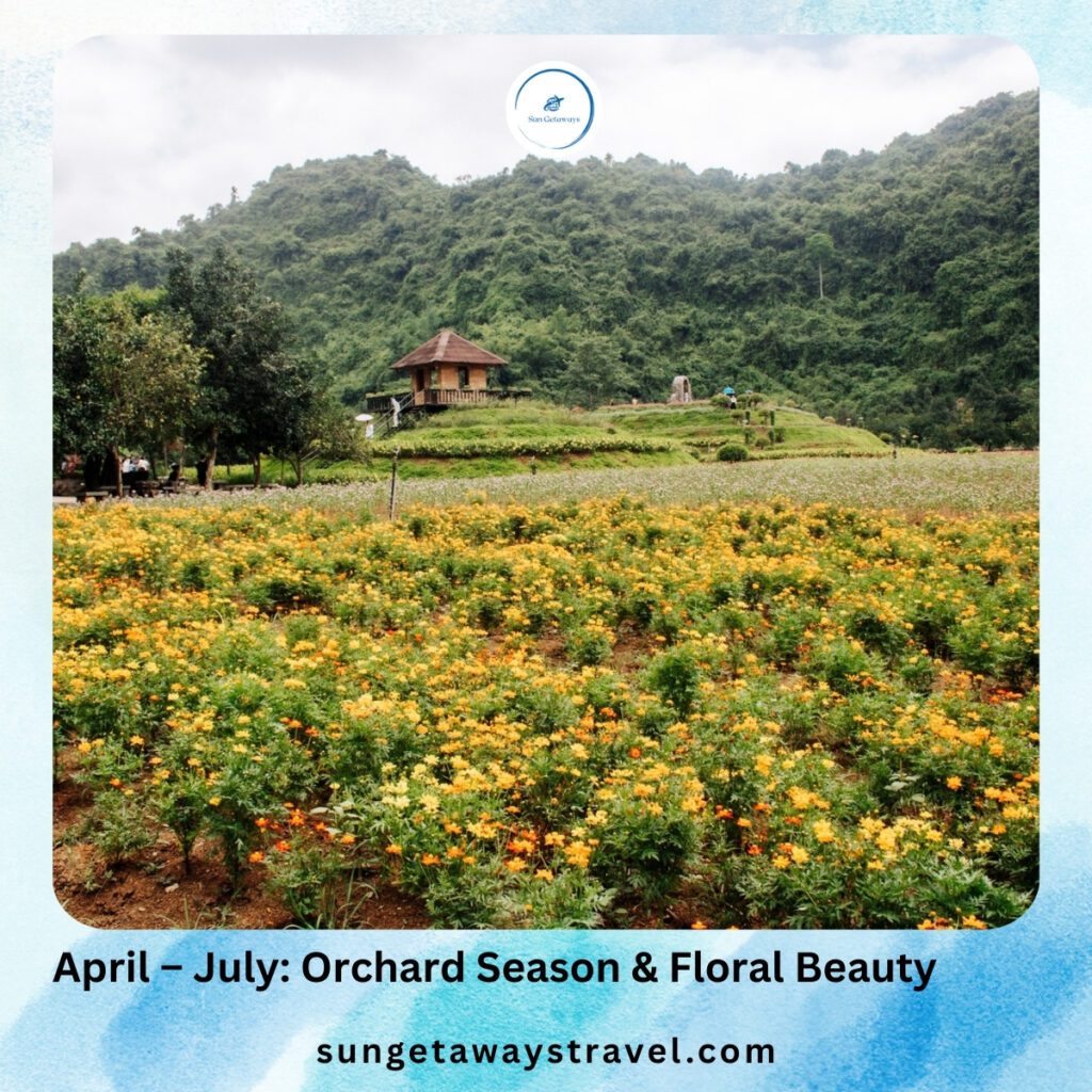 April – July_ Orchard Season & Floral Beauty
