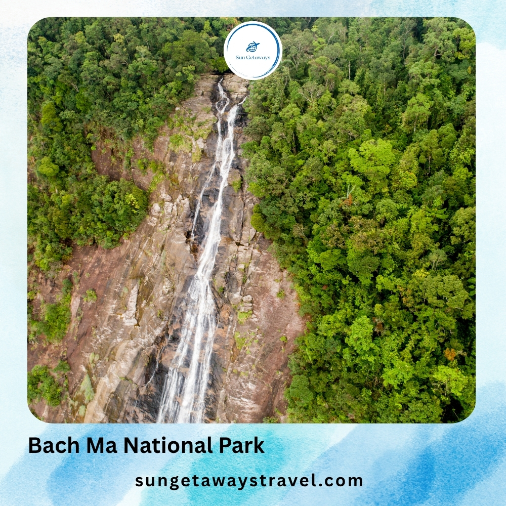 Bach Ma National Park