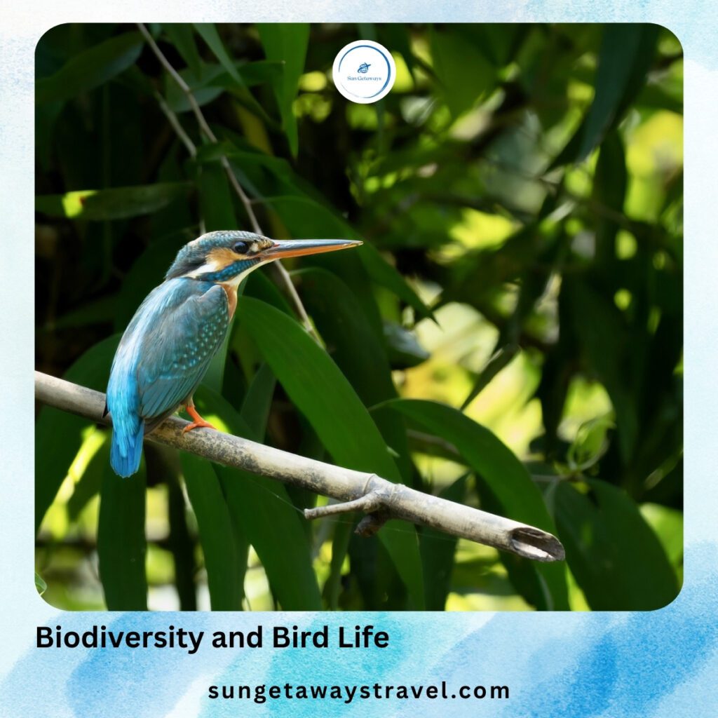 Biodiversity and Bird Life in Thung Nham Bird Park