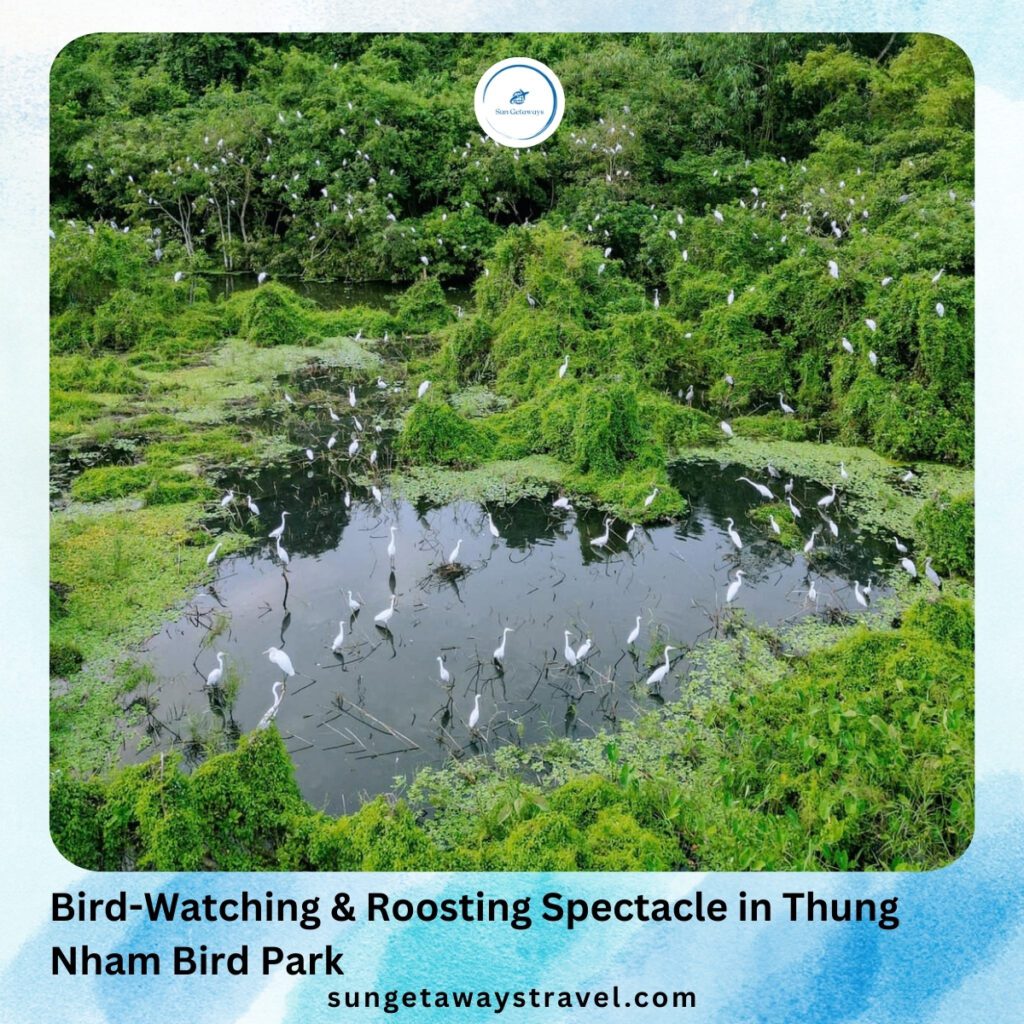 Bird-Watching & Roosting Spectacle in Thung Nham Bird Park