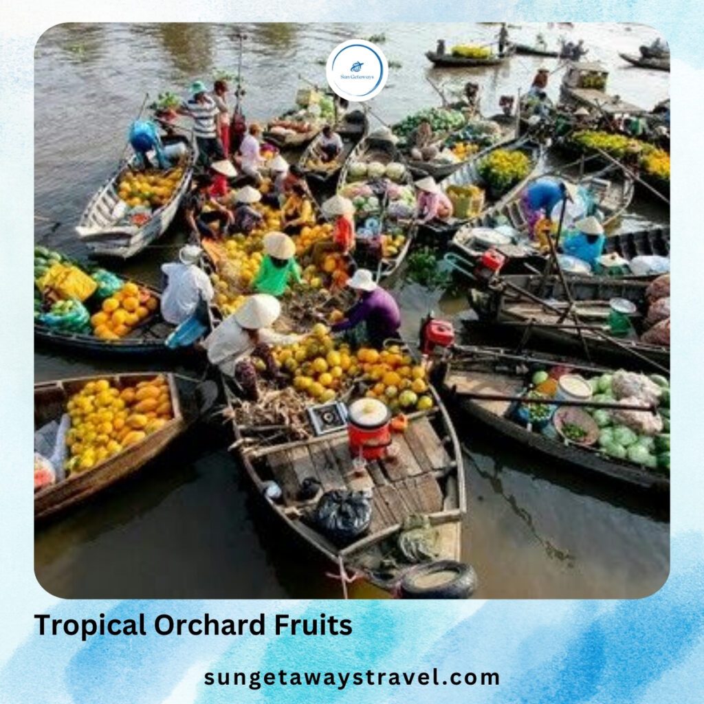 Tropical Orchard Fruits