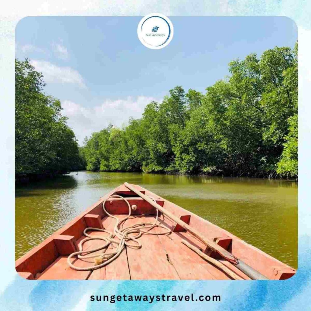 Canoeing and River Tours
