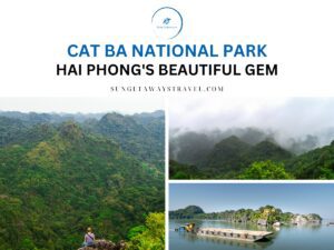 Cat Ba National Park Hai Phong's Beautiful Gem