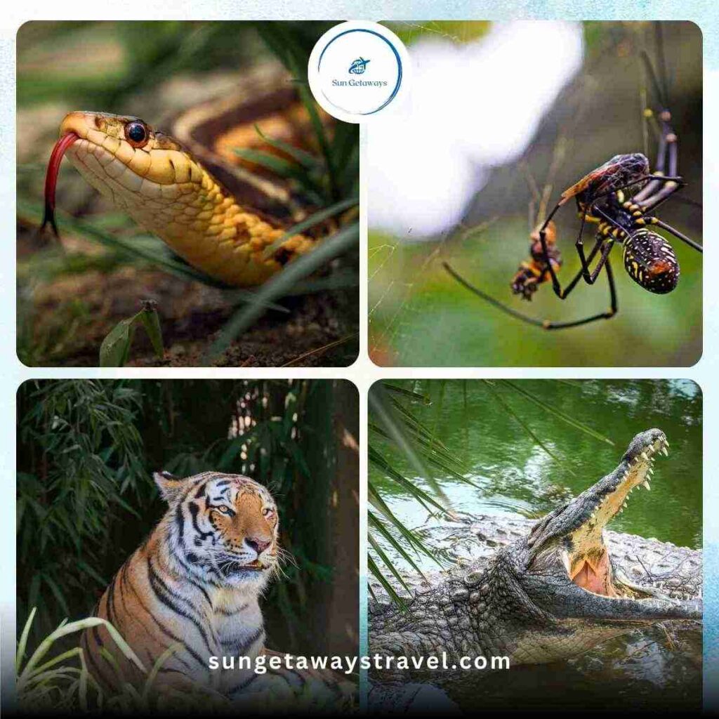Dangerous Animals in Vietnam Jungles