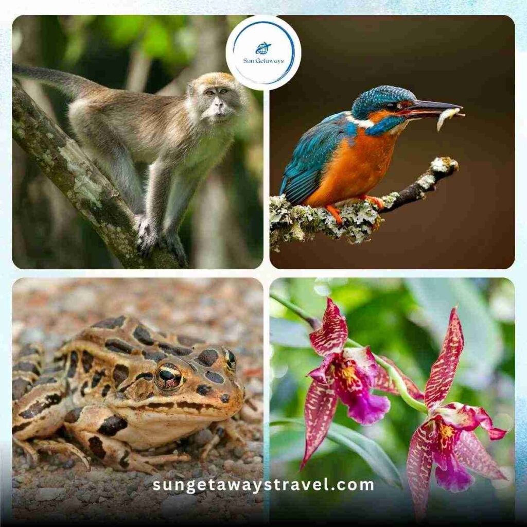 Exotic and Iconic Species