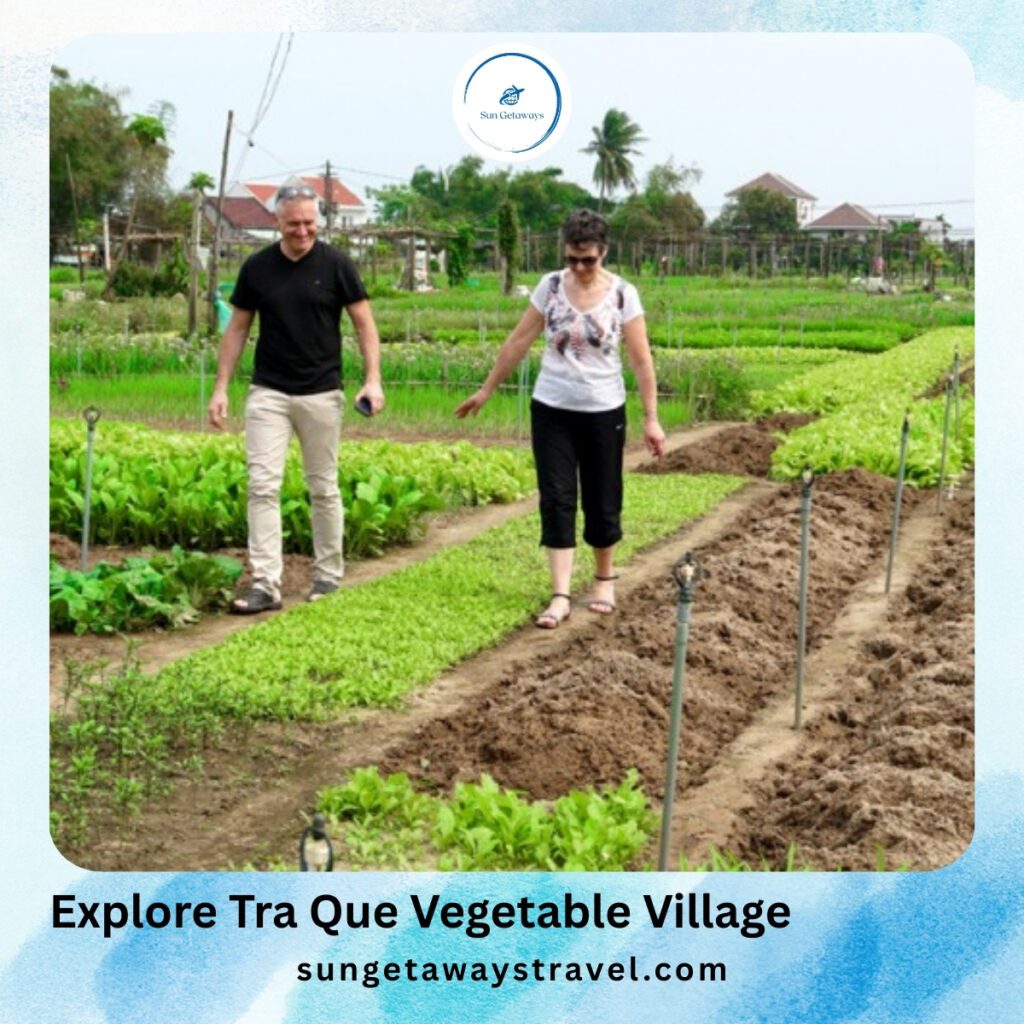 Explore Tra Que Vegetable Village