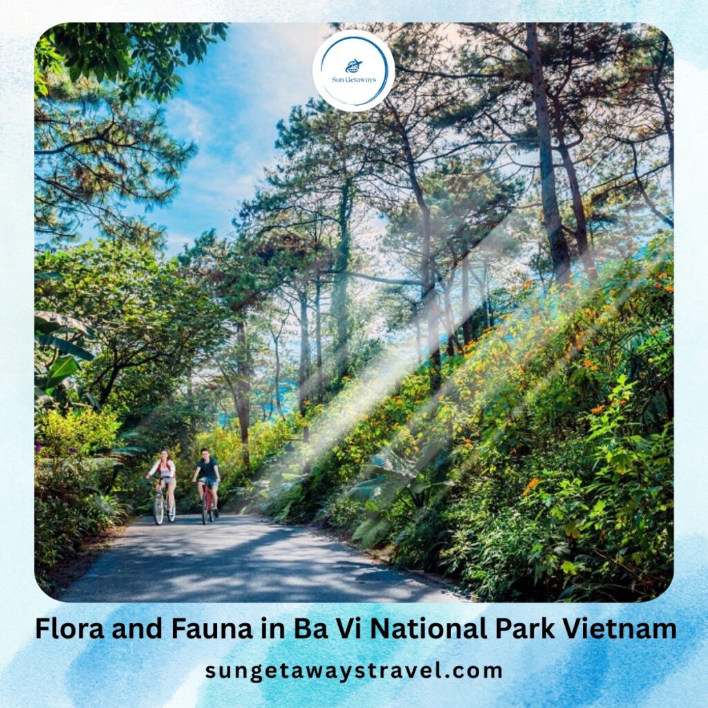 Flora and Fauna in Ba Vi National Park Vietnam