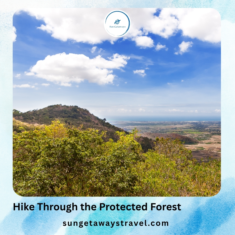 Hike Through the Protected Forest