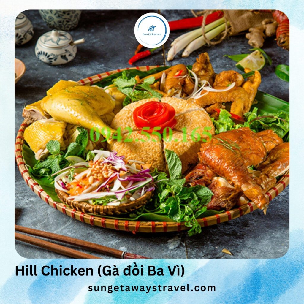 Hill Chicken (Gà đồi Ba Vì)