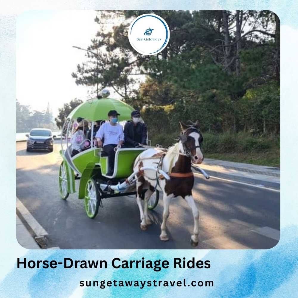 Horse-Drawn Carriage Rides