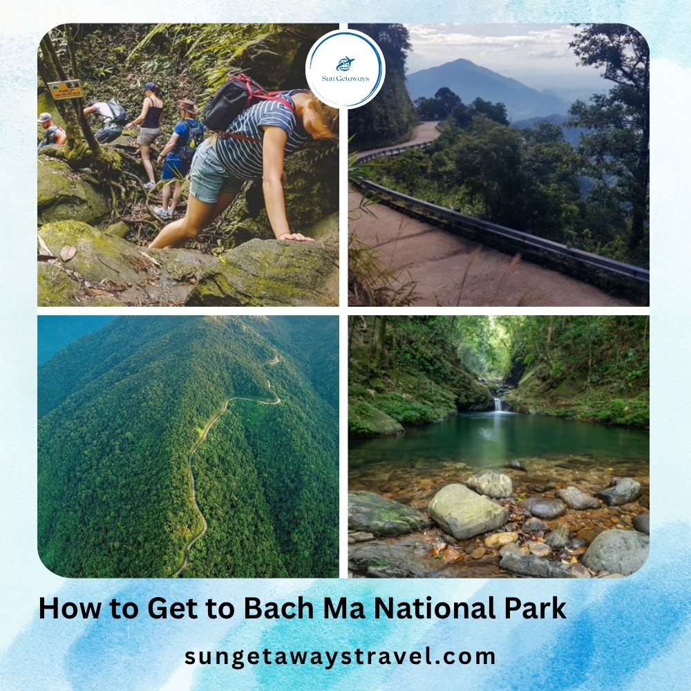 How to Get to Bach Ma National Park