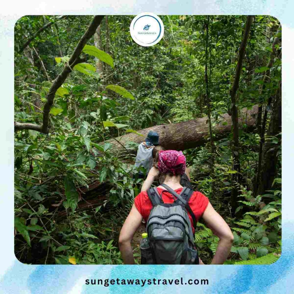Jungle Trekking